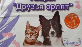 Благодарность