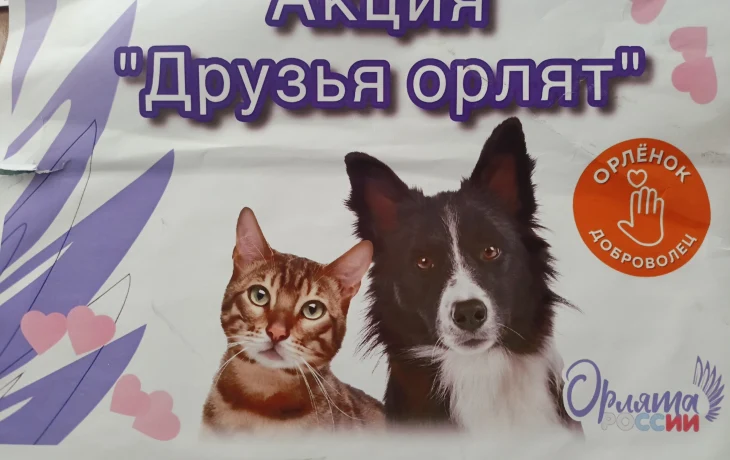 Благодарность Благодарность