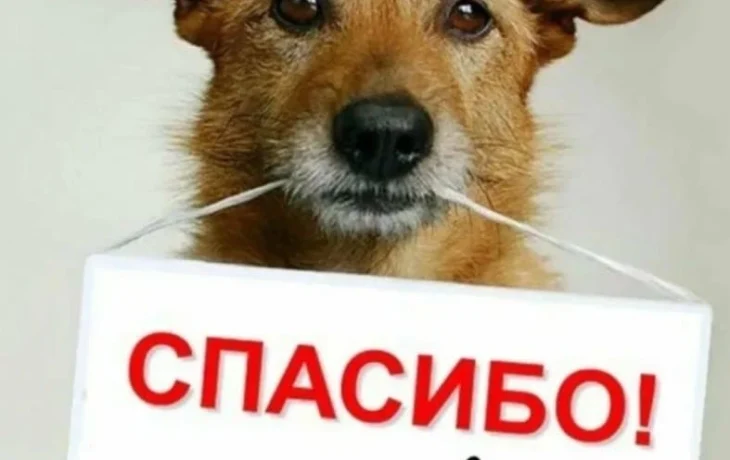 Благодарность. Благодарность.