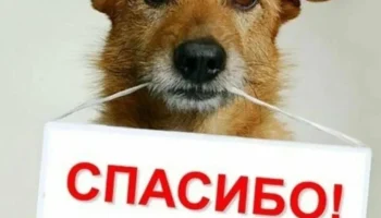 Благодарность.