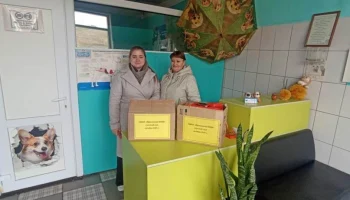Благодарность